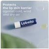 Labello Men Active 24h Moisture Lūpų balzamas Lūpų balzamas vyrams, 4,8 g