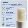Labello Men Active 24h Moisture Lūpų balzamas Lūpų balzamas vyrams, 4,8 g