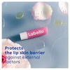Labello Soft Rosé Caring Lūpų balzamas 4.8 g