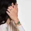 Daniel Wellington Crystalline Bezel Evergold Žalias DW00100824