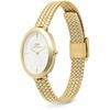 Laikrodis Daniel Wellington Juliette Braided Mesh Baltas Sunray Gold DW00100882
