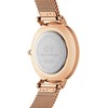 Laikrodis DANIEL WELLINGTON DW00100663. Kwarcowy, Kolor rožinė. Kobieta.