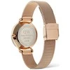 Laikrodis Daniel Wellington Maža MoonPhase 32 DW00100773