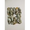 Laikrodis Rosefield The Pearl Edit RMSSS-R02
