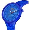 Laikrodis SWATCH WATCHES modelis SB05N116