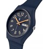 Laikrodis SWATCH WATCHES SO28I700