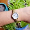 Laikrodis Timex Easy Reader 35 mm T2H301