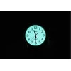 TIMEX Easy Reader T20071 MOTERIS LAIKRODIS + DĖŽĖ