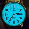 Laikrodis Timex Easy Reader T2N091