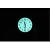 Vyriškas laikrodis TIMEX Easy Reader TW2R58400 + BOX