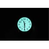 TIMEX Easy Reader 38 mm vyriškas laikrodis T20501 + dėžutė