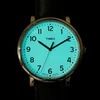 Laikrodis Timex Men`s Style T2N338