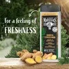 Le Petit Marseillais Ginger & Cypress Wood Dušo želė