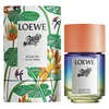 Loewe Paula's Ibiza Eclectic EDT tualetinis vanduo unisex, 100 ml