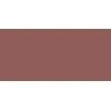 L'Oréal Paris Color Riche Lip Pieštukas