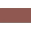 L'Oreal Colour Riche Blurred Matte Lipstick 4.3 g