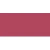 L'Oréal Paris Infaillible 24H lūpų dažai lūpų dažai moterims, 5 ml