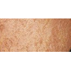 MAC Cosmetics Luxurious (Mineral Ize Skinfinish) 10 g, aukso indėlis