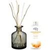 „Maison Berger Paris“ dovanų rinkinys „Aroma Energy“ difuzorius pilka + papildymas „Fresh Tonikas“, 200 ml