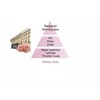 Maison Berger Paris Katalitinės lempos "Chic Paris Paris Chic" papildymas (Lampe RechargeRefill) 500 ml