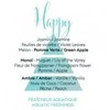 Drėkintuvas Maison Berger Paris Aroma Happy Aquatic Fresheness Car Diffuser Recharge/Refill 2 pcs