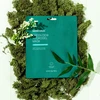 Mania Holic Hydrating hydrogel mask Žalias Dew Hydrogel Mask 30 g