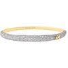 Michael Kors Dvispalvė apyrankė su kubiniais cirkoniais Premium MKJ8539931