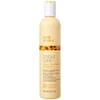 Dažytų plaukų šampūnas Milk Shake Color Care Maintainer Šampūnas 300ml