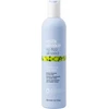Milk Shake Plaukų šampūnas Milkshake No Frizz Allowed Šampūnas 300 ml