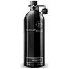 Montale Paris Aoud Lime UNISEX (Kvepalai Vyrams ir Moterims) EDP 100ml