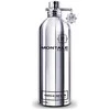 Montale Paris Fruits of the Musk 100ml NIŠINIAI kvepalai Unisex EDP