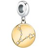 Morellato Timeless dvispalvis pakabukas Fish Drops SCZ1245