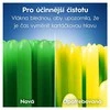 Oral-B Pro-Expert Deep Clean Medium Toothbrush 2 pcs