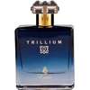 Emir Trillium EDP parfumuotas vanduo vyrams, 100 ml