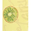 Pepe Moll Women's scarf Shania 261800 Kiwi