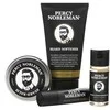 Percy Nobleman Beard Survival Kit Barzdos priežiūros rinkinys, 1vnt