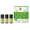 Primavera Aroma pirmosios pagalbos rinkinys 3 x 5 ml