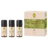 Primavera Fresh &amp; Energy introductory set (Aroma Sauna)