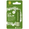 Primavera Regenerating balm for dry lips Care &amp; Repair (Lūpų balzamas) 4.6 g