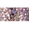 Rimmel Glitter Bomb Nagų lakas 8 ml 019 Disco Diva