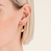 Rosefield Gold-plated earrings with hearts 2in1 JEHPG-J985