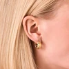 Rosefield Gold-plated hoop earrings Diamond Star JEDHG-J1352