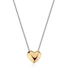 Sagapo Steel bicolor pakabukas for women Heart Stellar SSE56