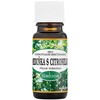 Saloos Natūralus eterinis aliejus „Citrinžolė“ su citronele, 10 ml