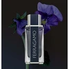 Salvatore Ferragamo Ferragamo - EDT 100 ml + 2v1 sprchový gel a šampon 100 ml + EDT 15 ml