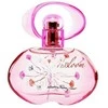 Salvatore Ferragamo Incanto Bloom New Edition for Women (Kvepalai Moterims) EDT 100ml