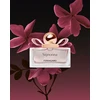Salvatore Ferragamo Signorina - EDP 100 ml + kūno losjonas 50 ml + EDP 15 ml