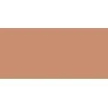 Shiseido Tanning Compact Foundation SPF10, 12 g