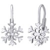 Sidabrinis earrings Snowflake SILVEGOB70566
