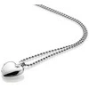 Sidabrinis pakabukas Hot Diamonds DP495 Memoirs Heart Locket